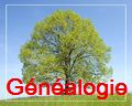Arbre